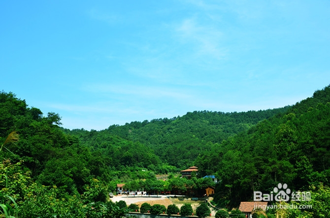 义乌大陈农业减压休闲游