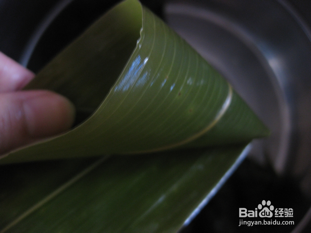 端午节必备的传统美食——蜜豆粽