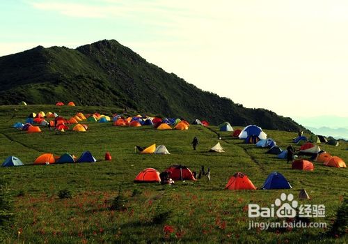 荒野中怎样快速寻找栖息地