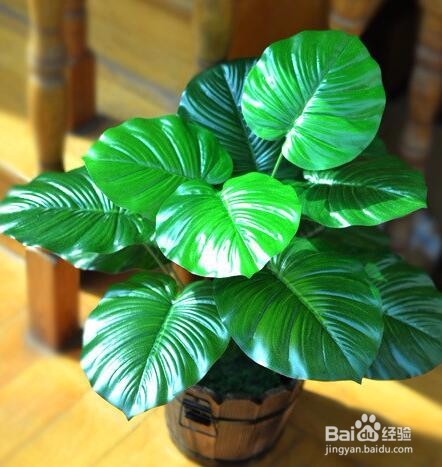 冬季如何呵护宝宝的皮肤？