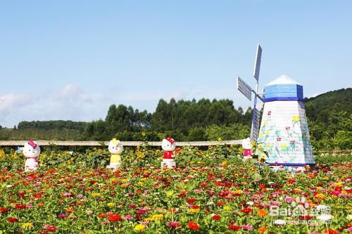 高明盈香生态园游玩攻略