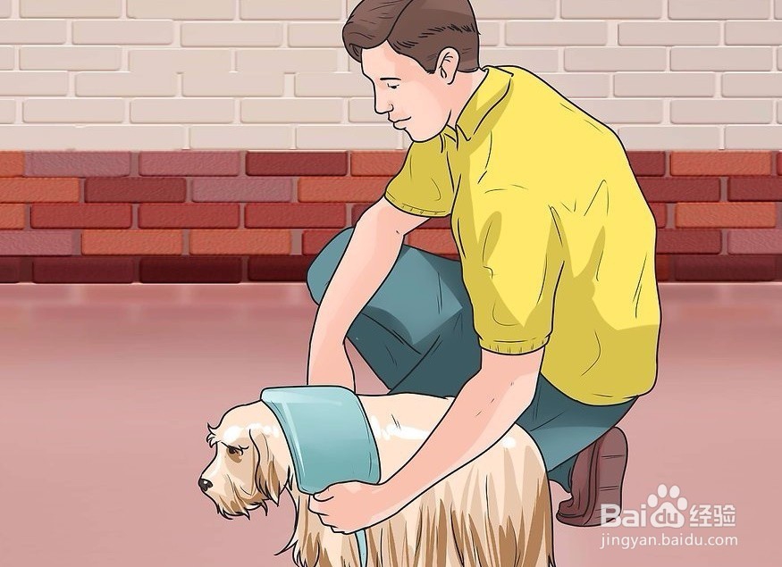 狗摔后脖子歪怎么办