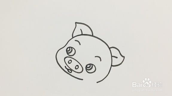 可爱猪的简笔画教程