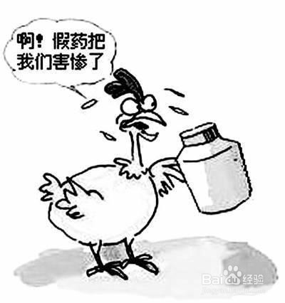 如何对待爱耍小聪明的人