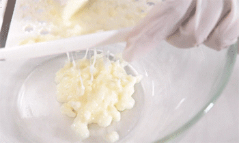 养生家常菜谱:鲜山药蒸肉丸做法