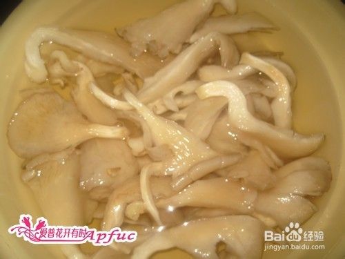 青菜炒蘑菇之私房菜