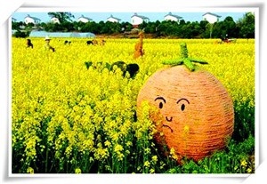 带宝宝出游需要注意哪些