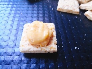 咸蛋肉松方块酥