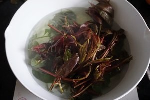 健康养生佳品香椿拌豆腐的做法