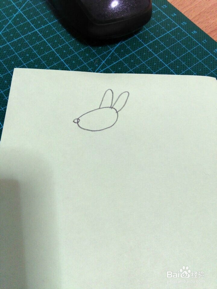 简笔画---袋鼠