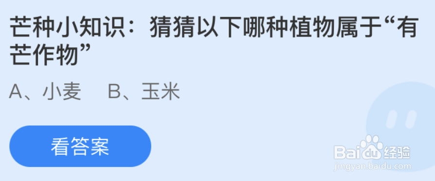 蚂蚁庄园：猜猜以下哪种植物属于有芒作物