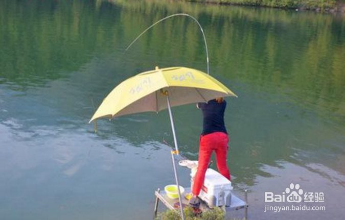 钓鱼过程中不可犯的那些错误