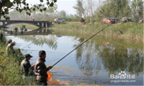 春季钓鱼怎么选钓点