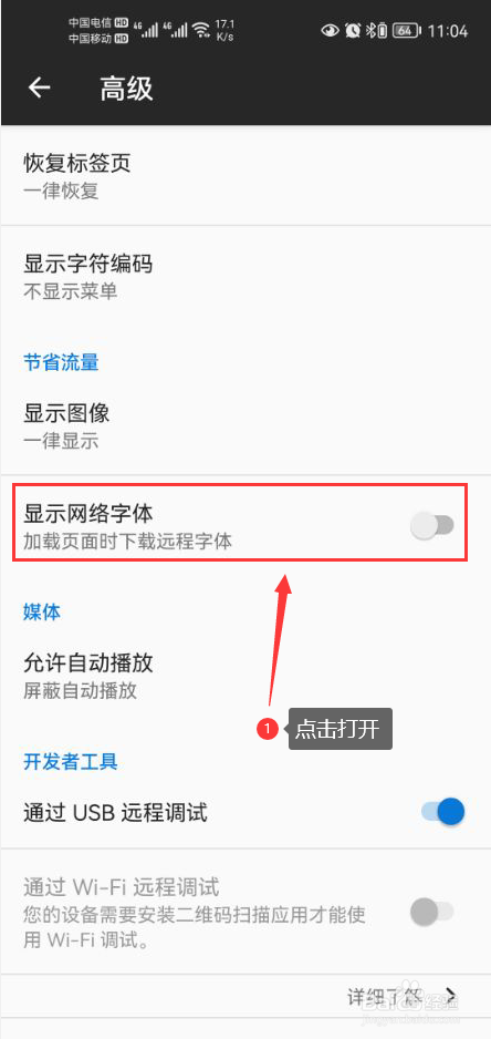 蚂蚁浏览器怎么打开显示网络字体功能