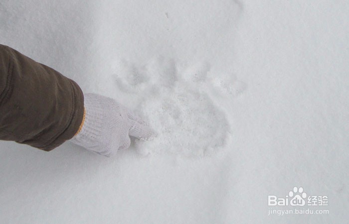 如何在雪地里画画