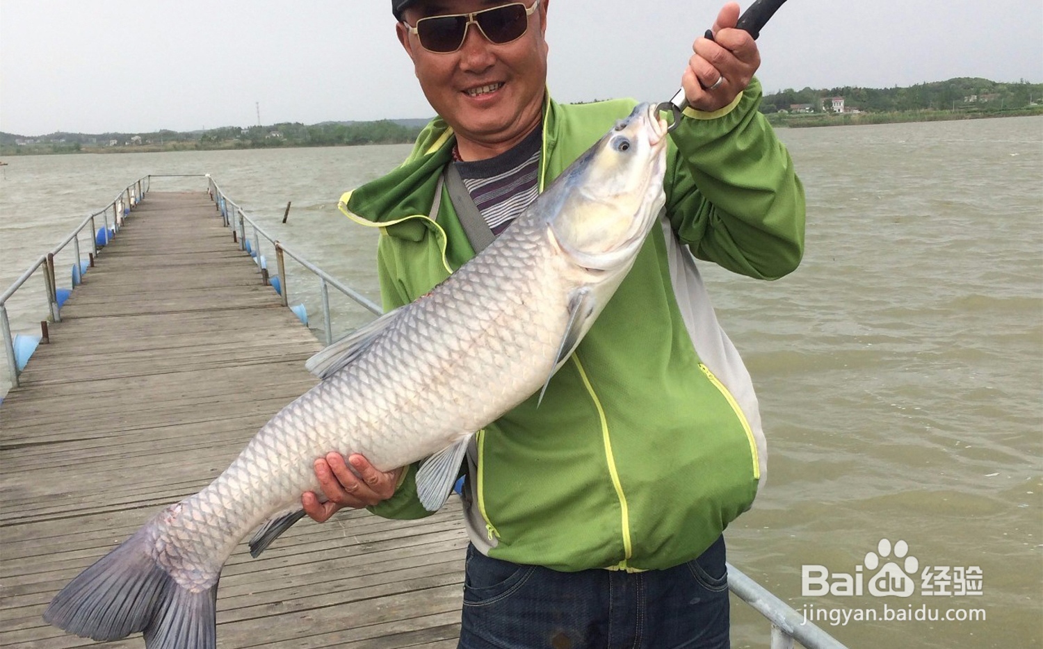 钓青鱼的方法和技巧