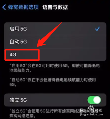 苹果手机怎么关闭5g网络