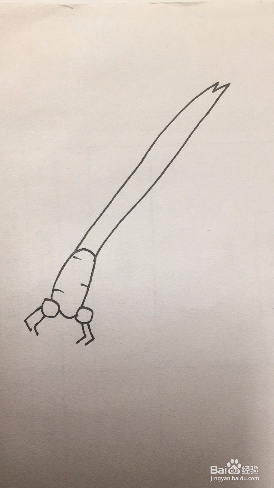 怎么快速地画一只可爱的小蜻蜓