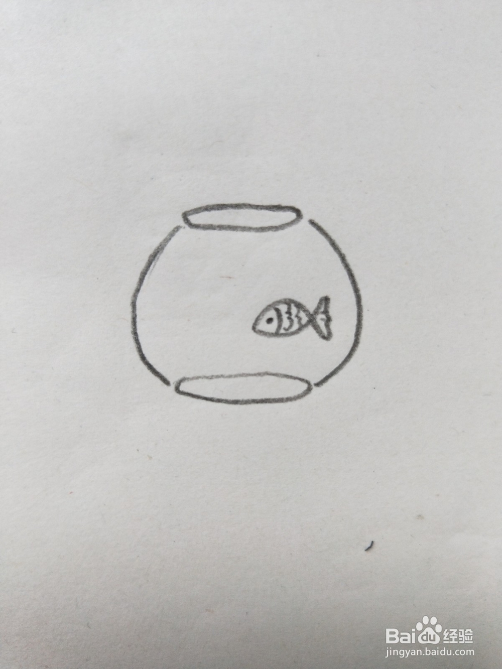 鱼缸的简笔画教程