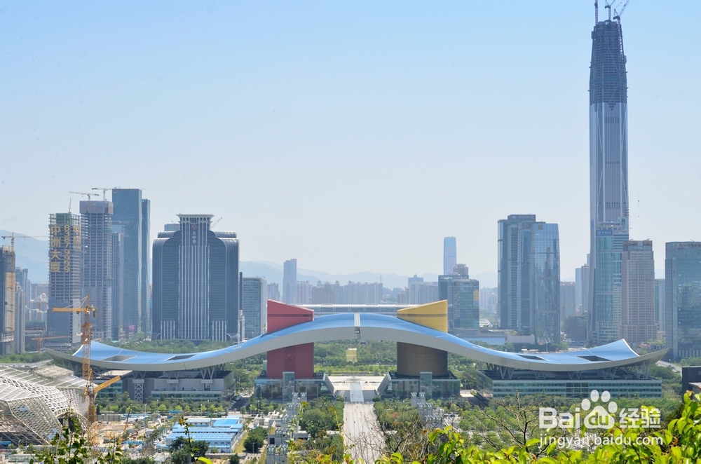 深圳有哪些好玩又免费的地方?