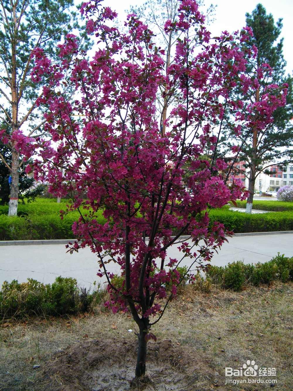 如何在职场和同事相处