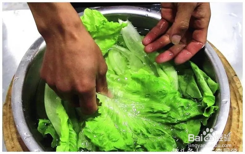 生菜提早栽培,种子如何处理