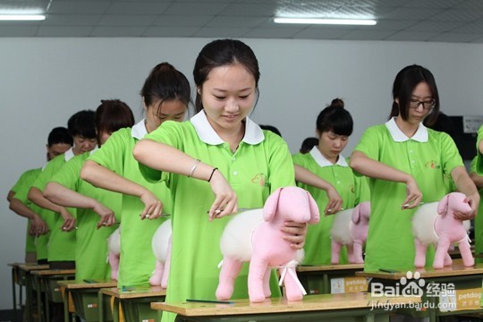 宠物美容师培训学校哪家好