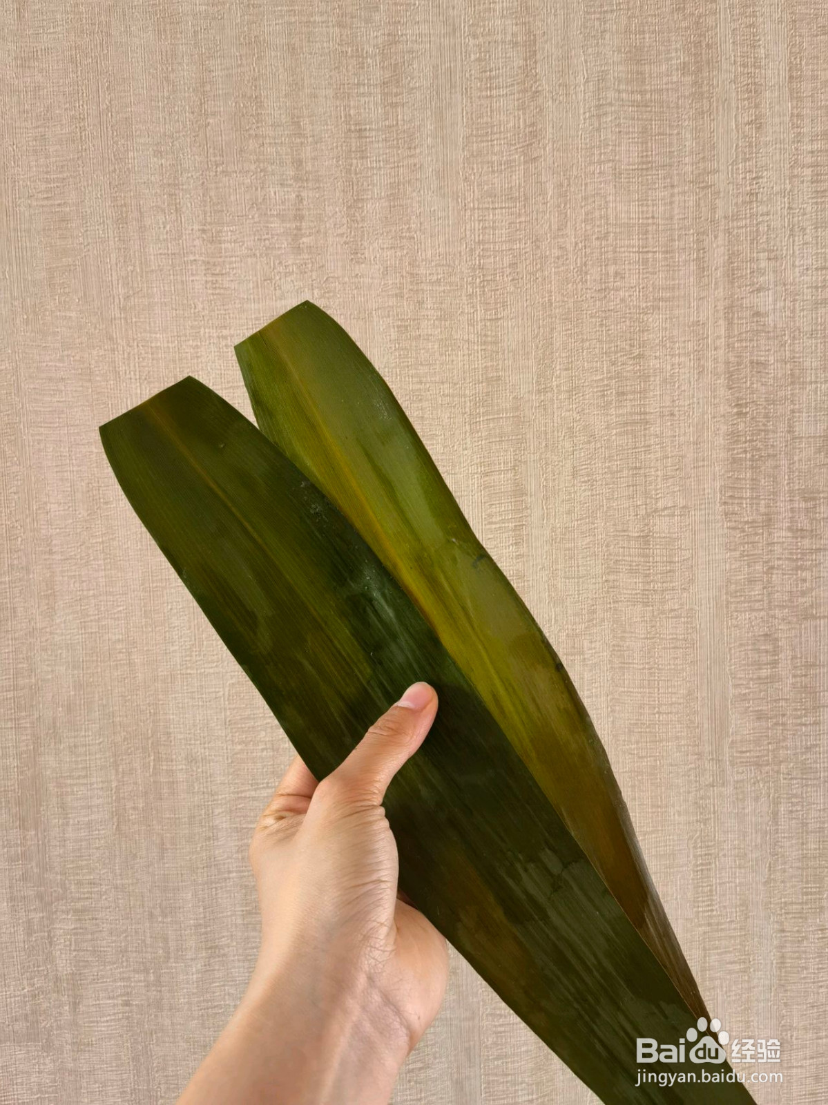 端午红枣粽的做法