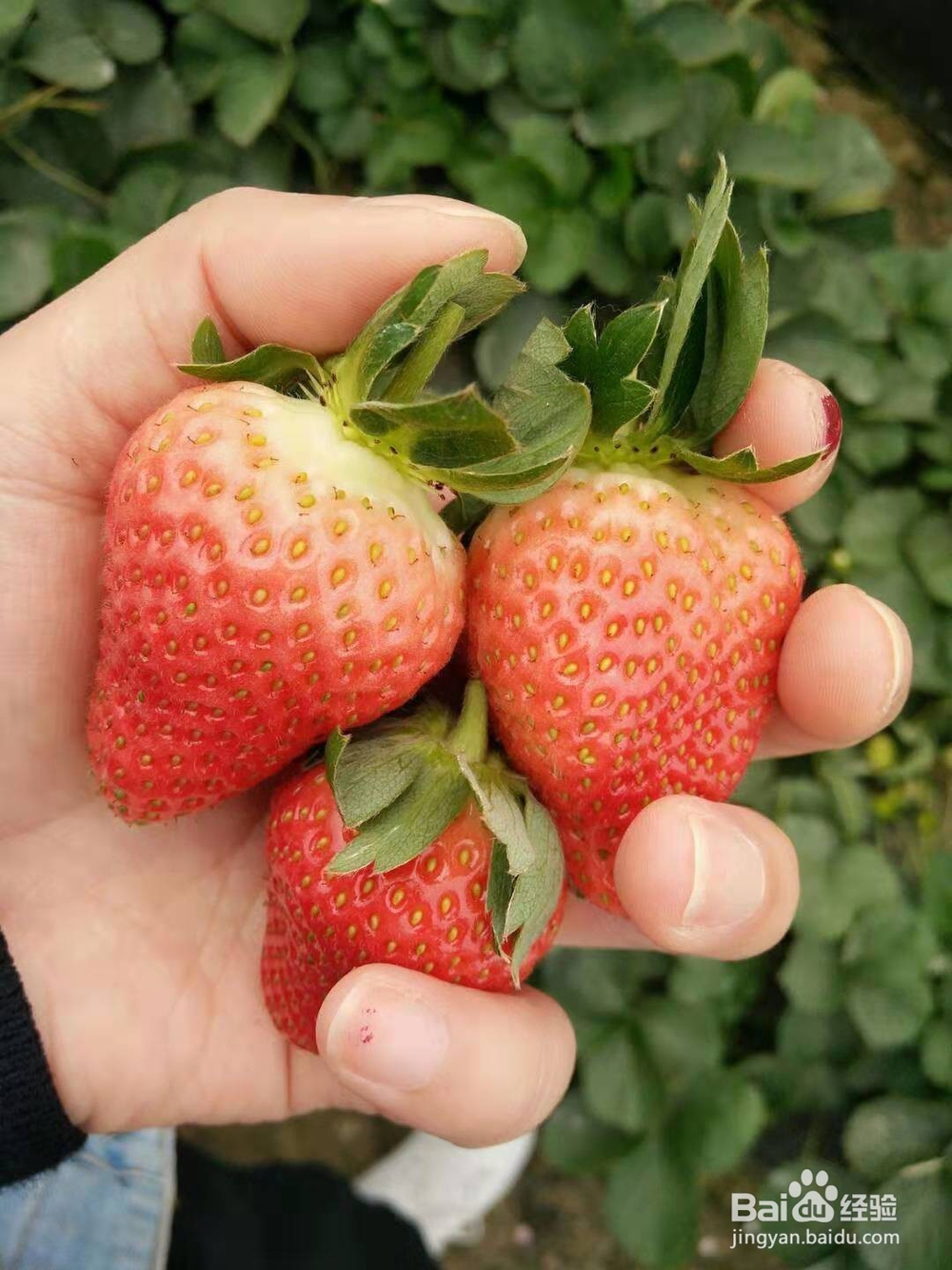 经常对你说这些情话的，说明已经爱你入骨?