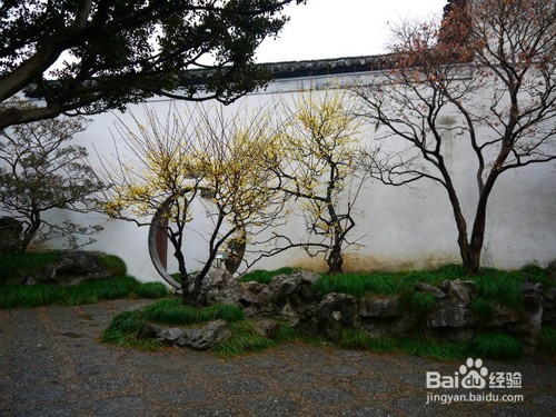 苏州园林都有哪些?哪个最值得看