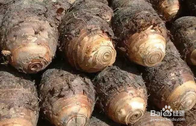 痒痒粉的简单制作方法