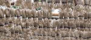 手工粉条在家怎么做