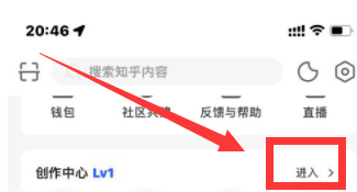 知乎怎么查看收益