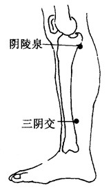 百病刮痧：[39]带下的刮痧疗法