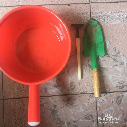 盆栽如何松土 百度经验