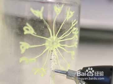 教你如何把玻璃瓶废物利用