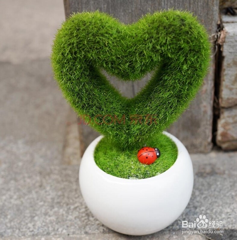 如何正确摆放盆栽