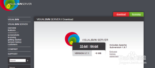 VisualSVN Server官网下载