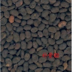 山茱萸的药用价值有哪些