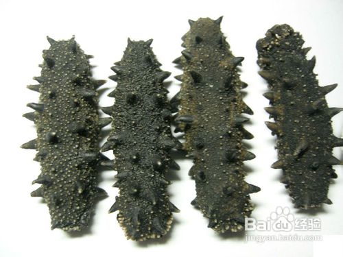 干海参的挑选方法及技巧