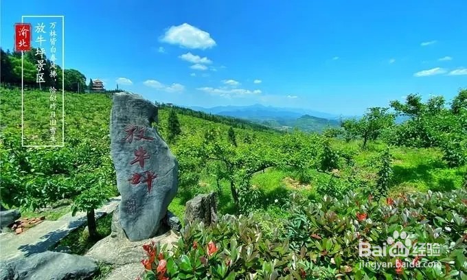 放牛坪风景区一日游攻略