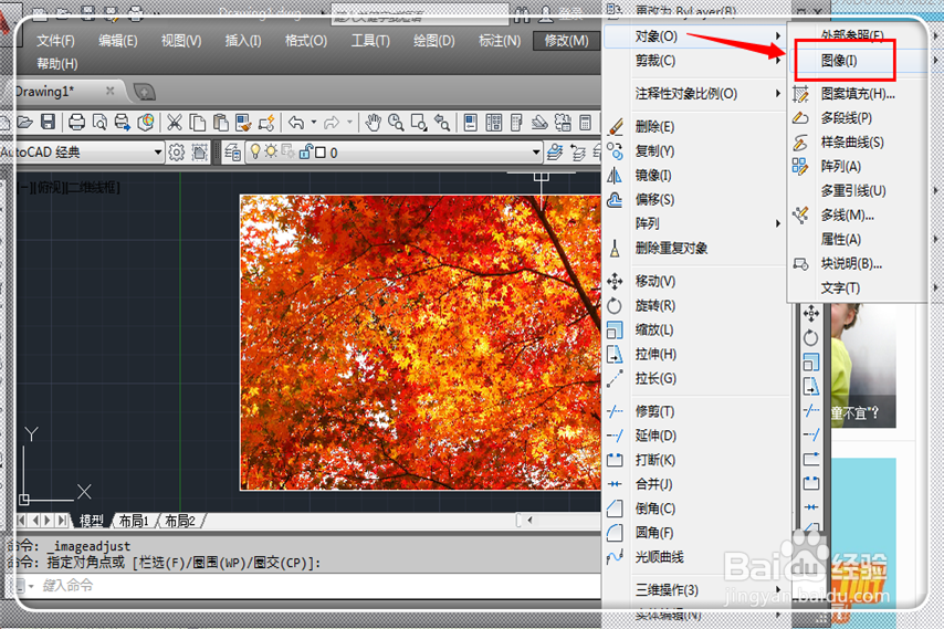 cad中插入图片怎样取消边框