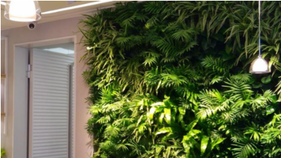 如何让植物墙更美？