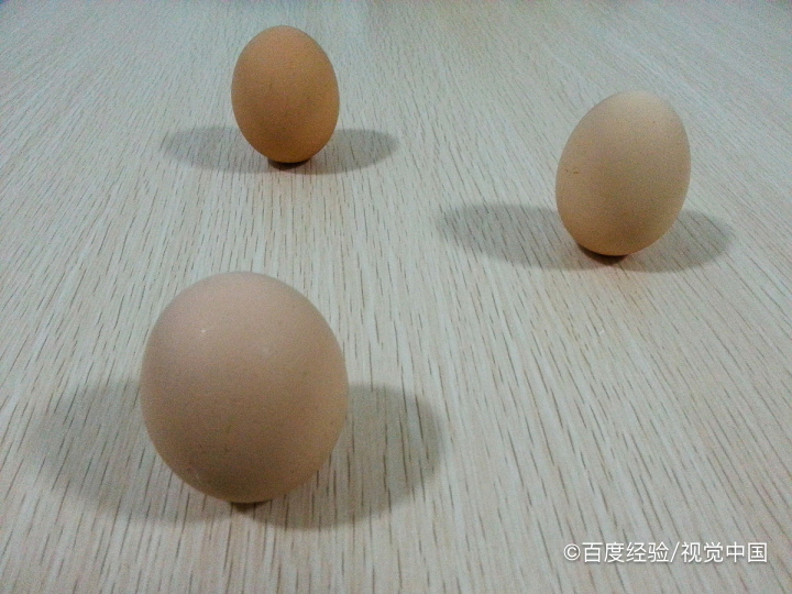 俗语说春分到蛋儿俏指的是春分时蚂蚁庄园答案