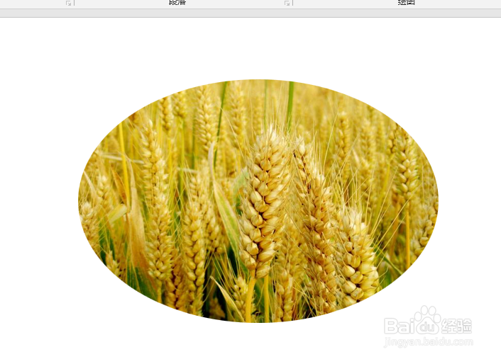 PPT如何将插入的图片裁剪为椭圆形