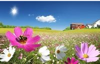 购买化妆品时的注意事项以及怎样选择和购买