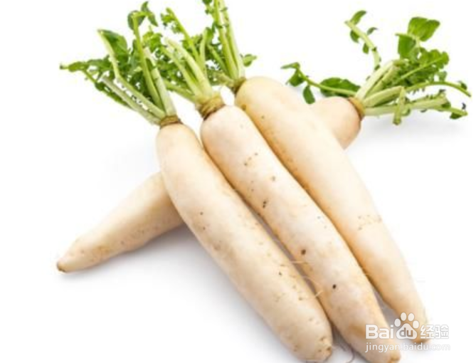 冬季养生哪些食物好