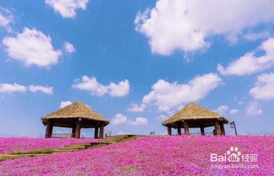 摄影征集震撼开拍,照出你的最美江南