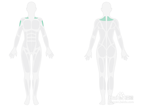 3D肩部轰炸训练