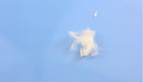 羊皮毛一体UGG雪地靴的真假辨别（多图）